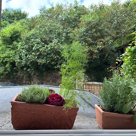Apartman Rosenwohnung *